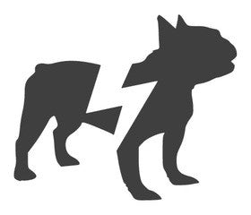 PAWER logo