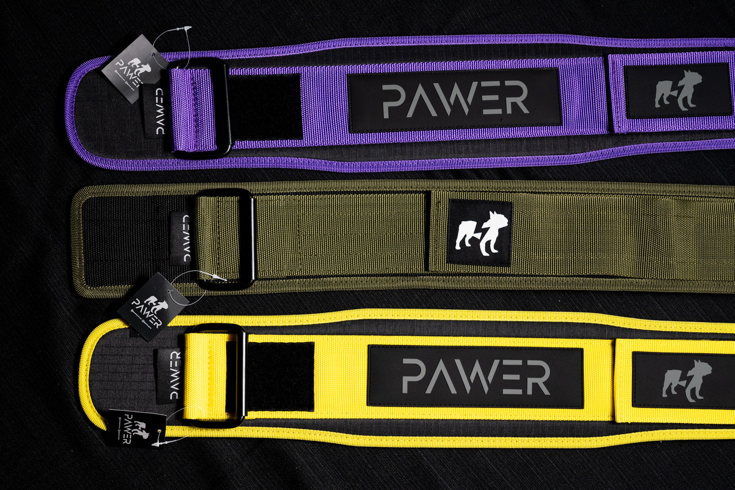 ALPHA BELT - PURPLE